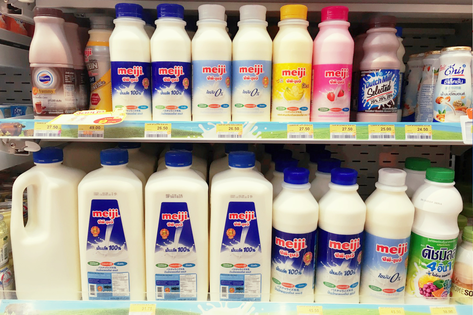 「美味しい牛乳を届けたい！」乳製品市場シェアNO.1を獲得したCP Meijiの挑戦とは。のメイン画像
